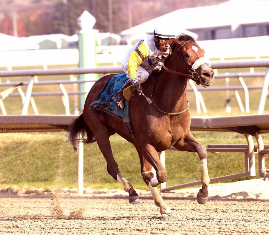 tale-for-ruby-01 Tale for Ruby