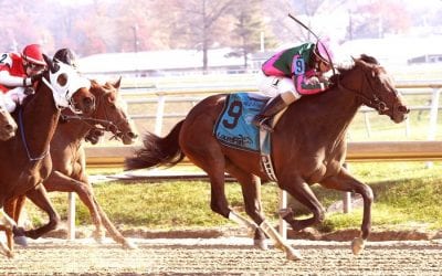 Tequilita favored in stacked edition of G3 Charles Town Oaks