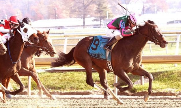 Tequilita drinks up Smart Halo win