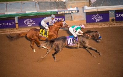 Arrogate named World’s Best Racehorse