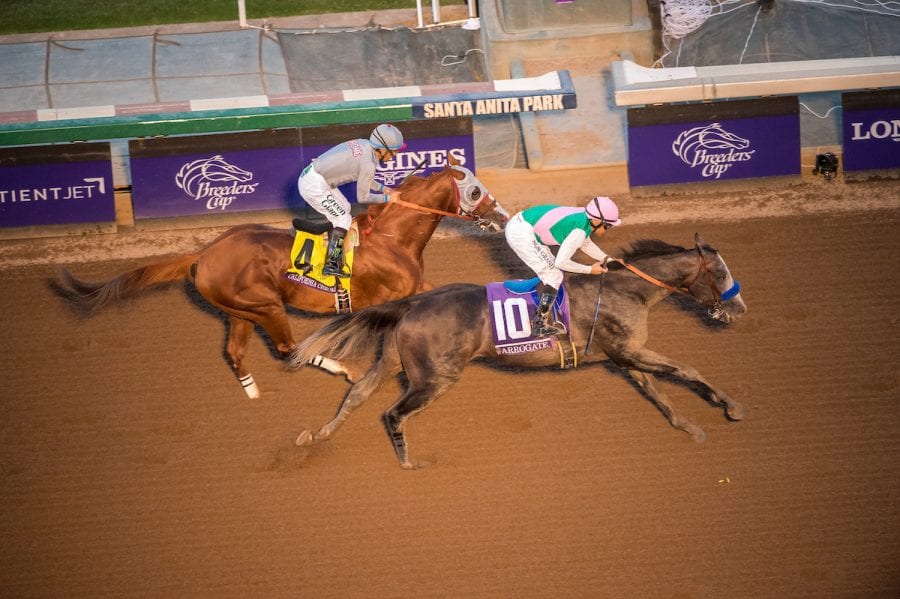 2016 Breeders’ Cup World Championships – Day 2 Arrogate