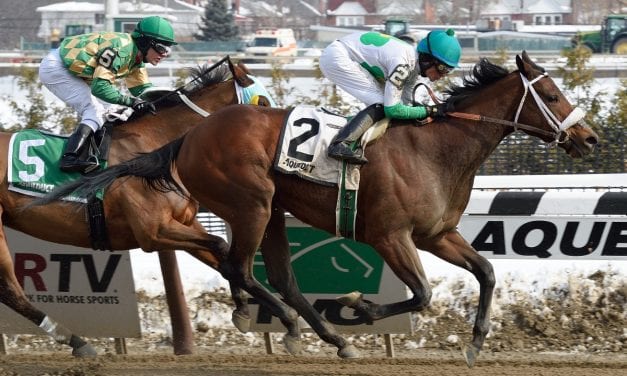 Shayjolie returns in Parx allowance