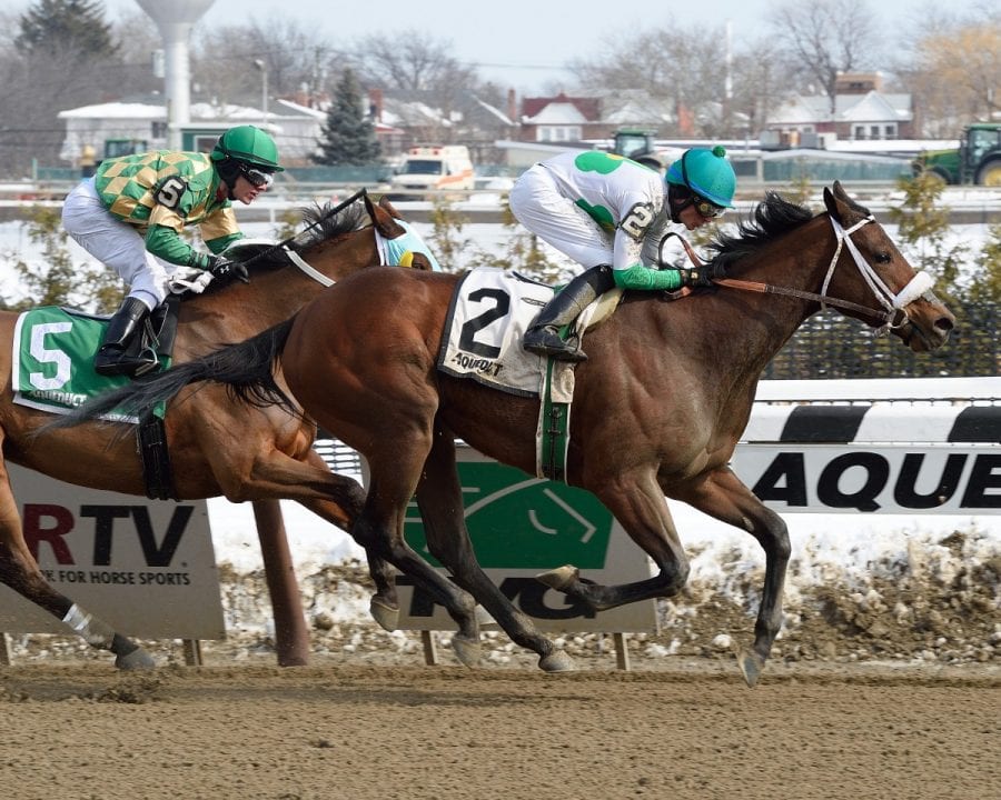 shayjolie-cat-cay-sheldon-russell Shayjolie