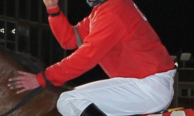 Jockey Whitacre looking at long road back after spill