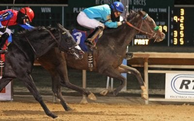 Honeymoon Cruise rallies to Casey Memorial victory