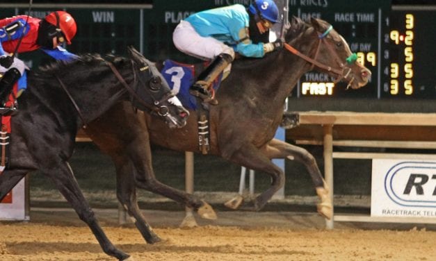 Honeymoon Cruise rallies to Casey Memorial victory