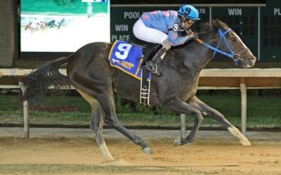 Unaquoi, Scottish Denis meet again in Casey Memorial