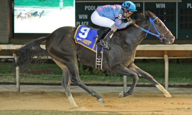 Unaquoi, Scottish Denis meet again in Casey Memorial