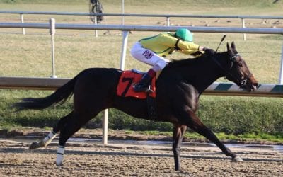 Maryland breeder Binnie Houghton passes away