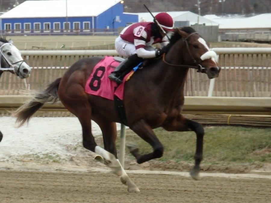 generousjack2 Generous Jack