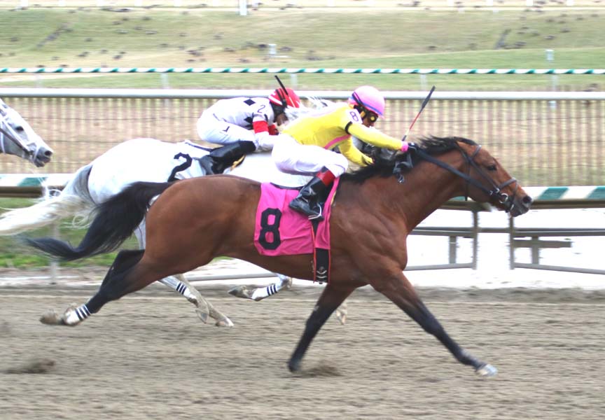 heav-9581 Heaven's Runway