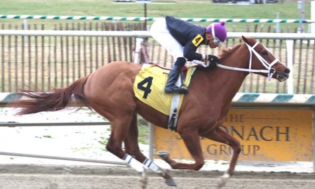 Ms Locust Point cruises in Gin Talking