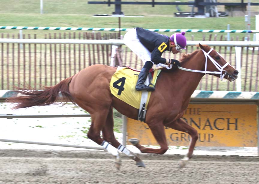 locust-9403 Ms Locust Point