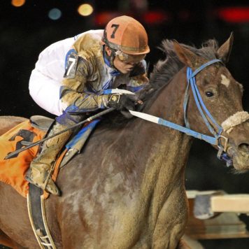 CHARITABLE ANNUITY - A Huevo Stakes - 11-05-16 - R07 - CT - 002