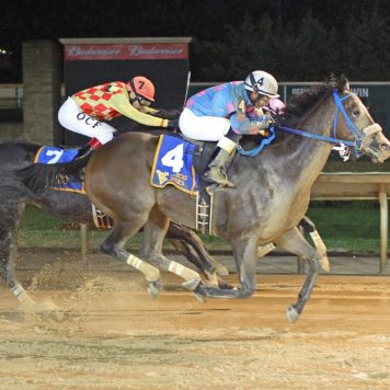 GREENWAY COURT - West Virginia Dash for Cash Breeders Classic - 10-08-16 - R01 - CT - 001