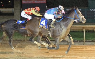 Veterans Lucy’s Bob Boy, Greenway Court return tonight