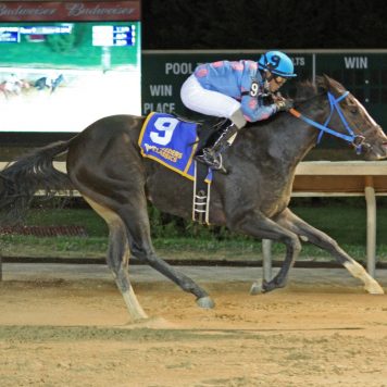 SCOTTISH DENIS - West Virginia Triple Crown Nutrition Breeders Classic - 10-08-16 - R09 - CT - 001
