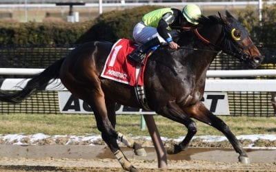 Report: Green Gratto retired, again