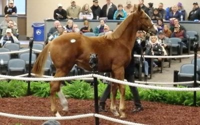 Wanamaker’s calendars March sale