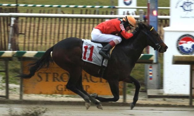 Imperial Hint proves best in Fire Plug