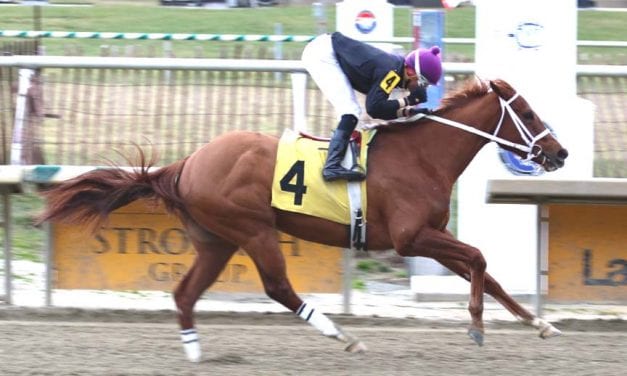 New Year’s Eve also Ladies’ Day at Laurel