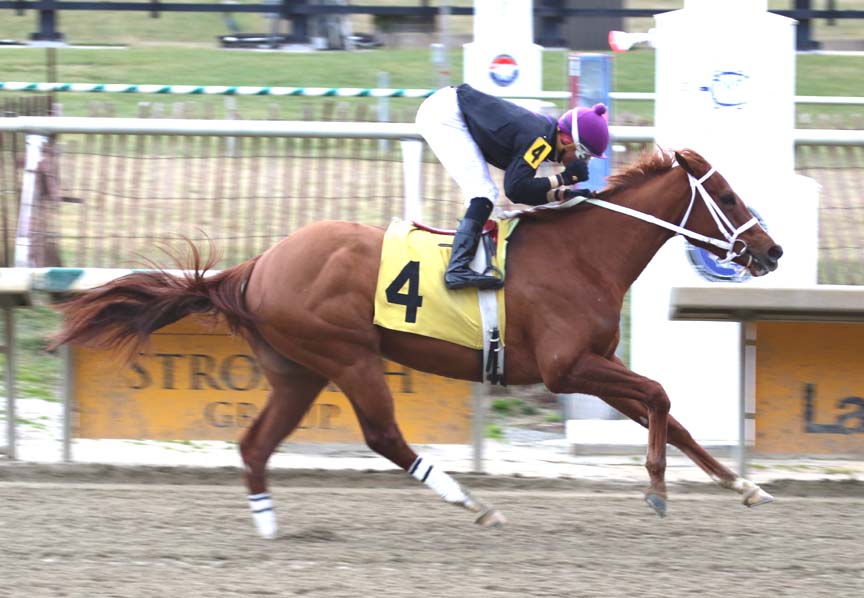 locust-9404 Ms Locust Point