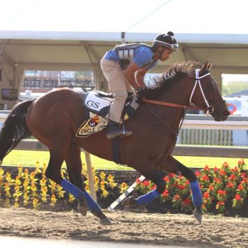 27066253291_ac37c57e08_b