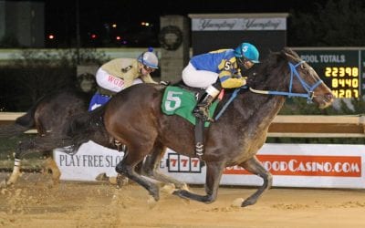 With Cherokee Blessing, patience — and having best horse — pay off