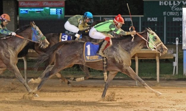 Late-arriving Follow the Notion making a belated mark