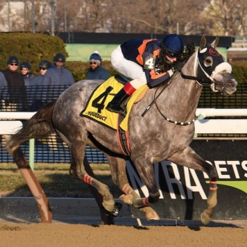 el areeb the withers credit robert mauhar