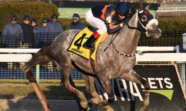 Md-based El Areeb favored in Gotham