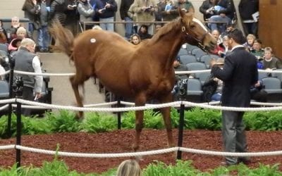 Wanamaker’s to hold two October sales