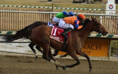 Maryland Jockey Club announces bolstered ’18 winter stakes sked