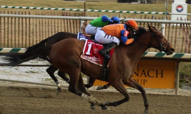 High Ridge Road up late for Fritchie win