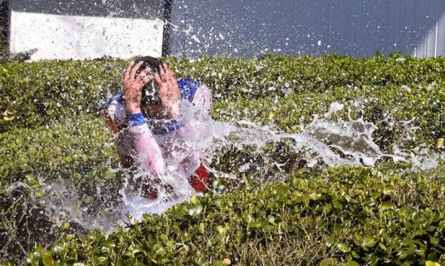 Two starts, two wins for bug Carlos Carrasco