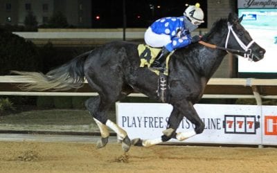 Moonlit Song  is back – and back on top