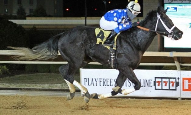 Moonlit Song heads trio of WV-bred allowance winners
