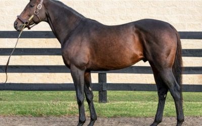 Peace and Justice bonus awarded