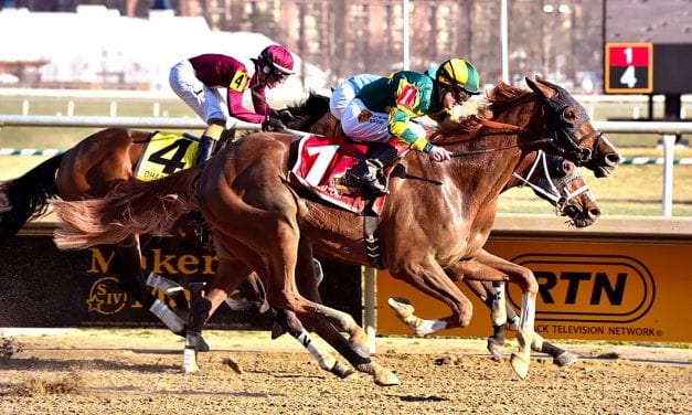 Tesio, Weber City Miss draw 58 noms