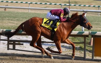 MATCH Series: Final weekend to tell the tale