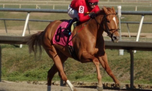 Weekend wrap: March 6