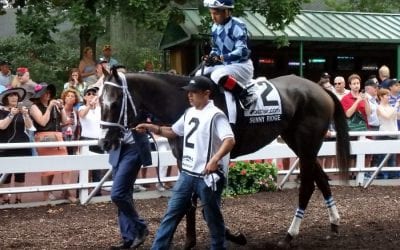 Sunny Ridge earns top NJ-bred honors
