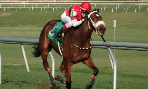 Weekend wrap: April 10