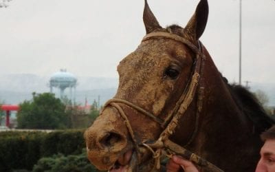 Opinion: Approve the Charles Town stakes schedule