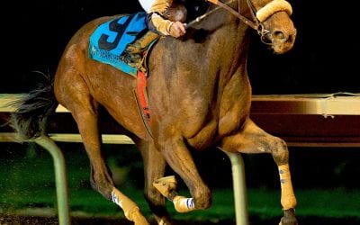 Researcher struck blow for the home team in first CT Classic