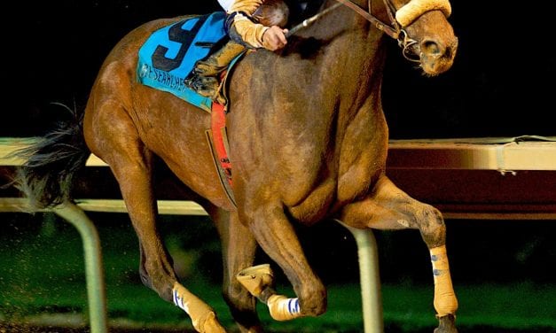 Researcher struck blow for the home team in first CT Classic