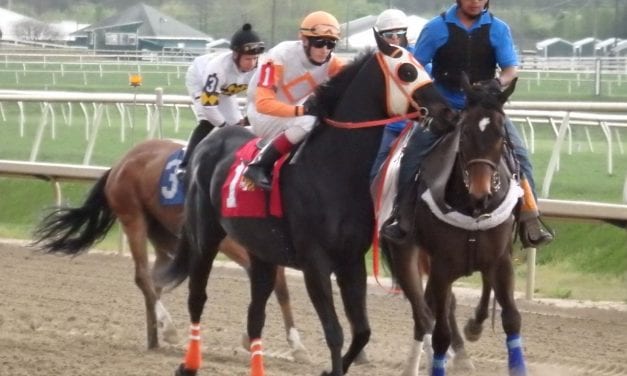 Ben’s Cat fifth in middling return, retirement chorus likely to grow