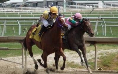 Delaware Park horses to watch: White Clay Creek Stakes preview