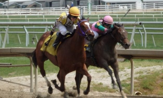 “Pleasant surprise” as Contrarity becomes first Maryland 2yo winner of 2017