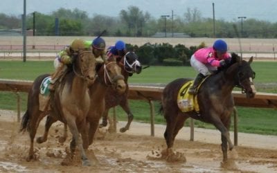 CT betting, Poseidon’s Warrior and more: The week in social media